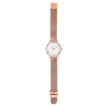 Load image into Gallery viewer, Classic Roman Silver White Dial Rose Gold Mesh Watch | 36mm