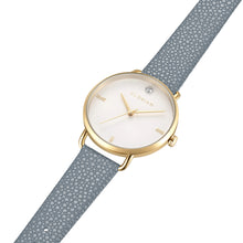 Pure Diamond Koala Grey and Champagne Gold Watch | 36mm